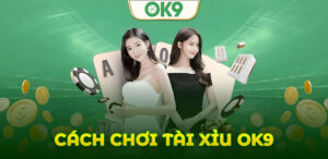 Bí quyết chơi tài xỉu OK9 kiếm tiền nhanh từ nhà cái uy tín